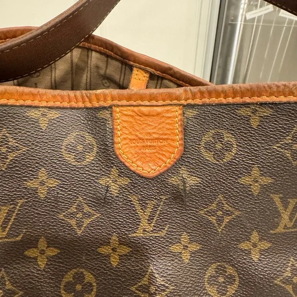 Louis Vuitton Large Delightful PM Brown Monogram Hobo Bag - Picture 2 of 14